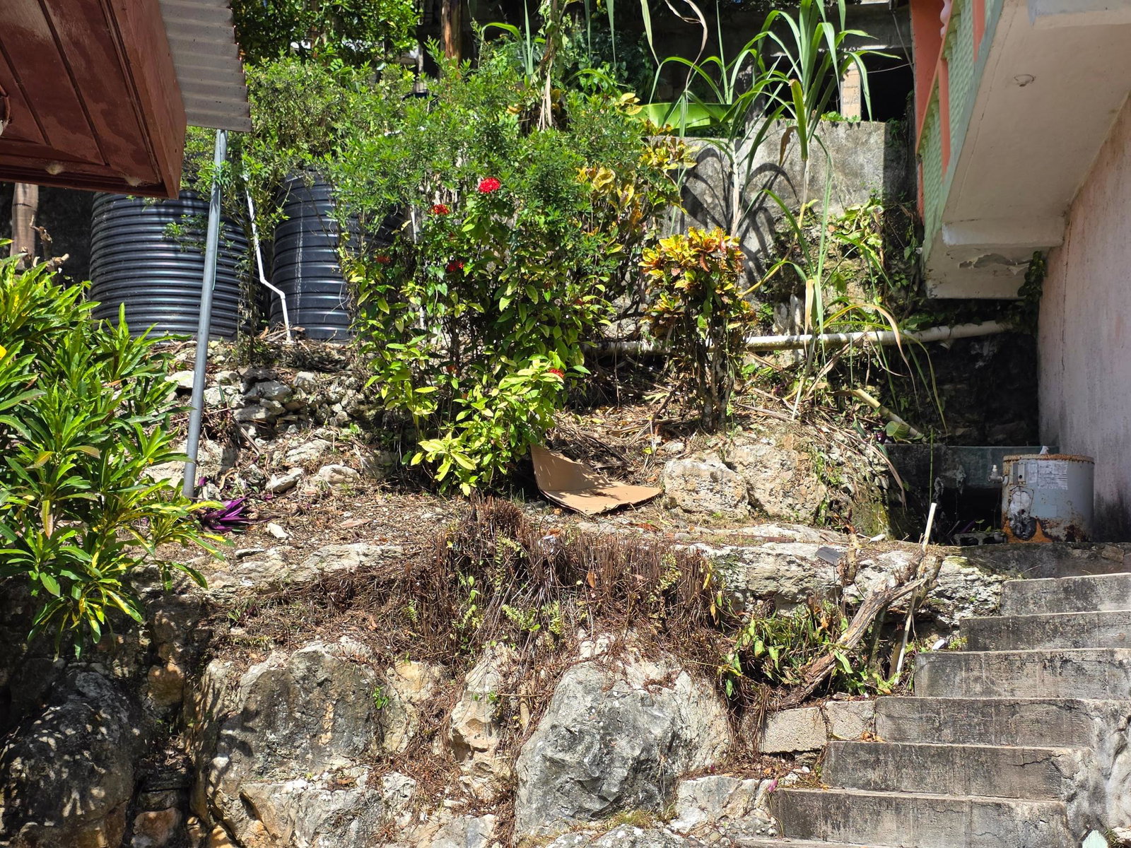Fifteenth image of Lodge , St. Ann in Lodge, St. Ann, Jamaica - property is For Sale