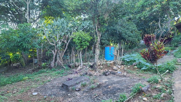 Second image of Land- Part of Victoria, Linstea in Linstead, St. Catherine, Jamaica - property is For Sale
