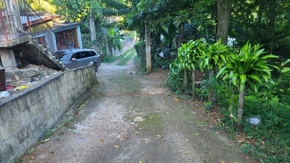 Fourth image of Land- Part of Victoria, Linstea in Linstead, St. Catherine, Jamaica - property is For Sale
