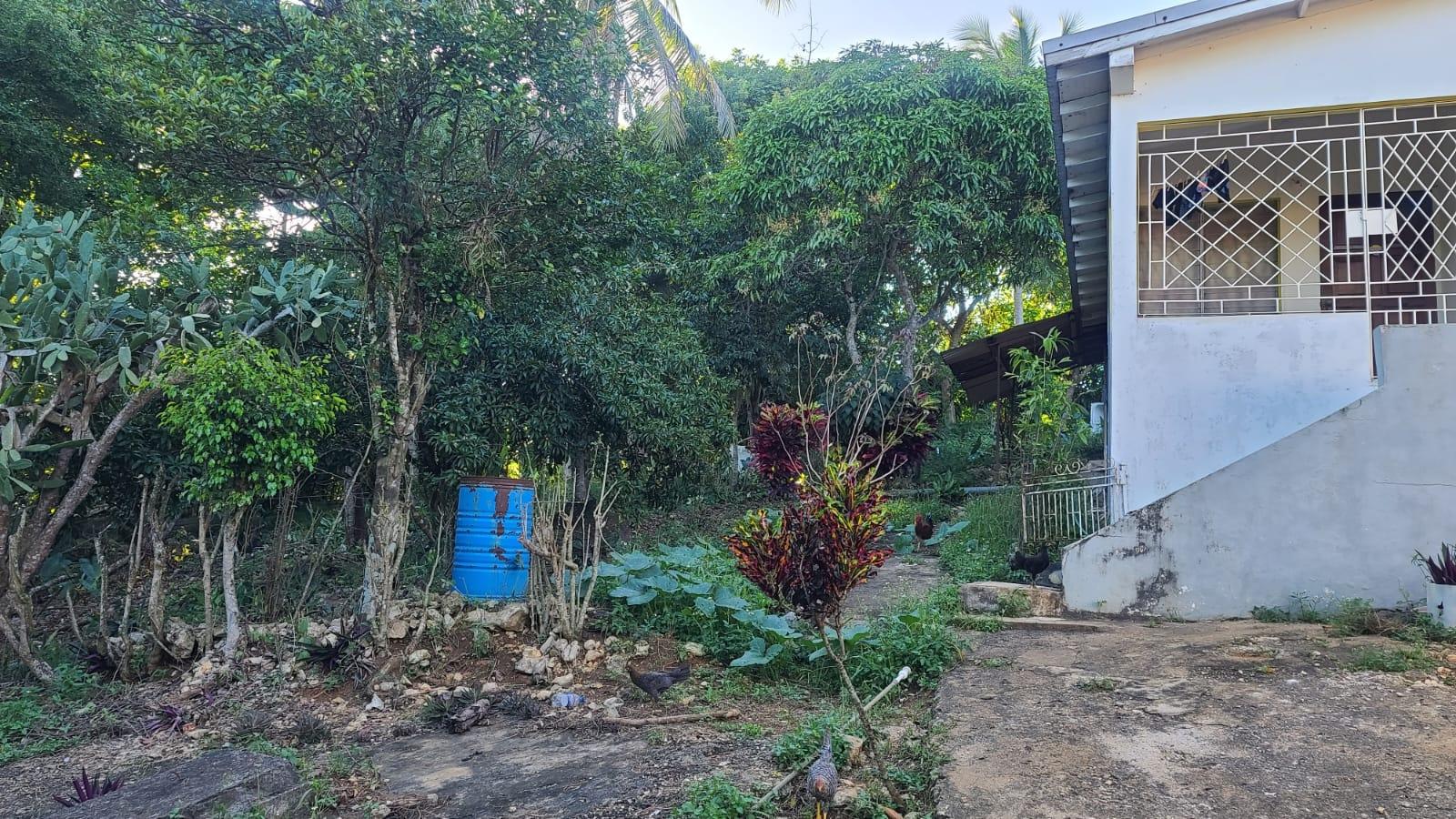 Sixth image of Land- Part of Victoria, Linstea in Linstead, St. Catherine, Jamaica - property is For Sale