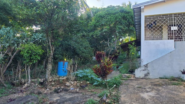 Sixth image of Land- Part of Victoria, Linstea in Linstead, St. Catherine, Jamaica - property is For Sale