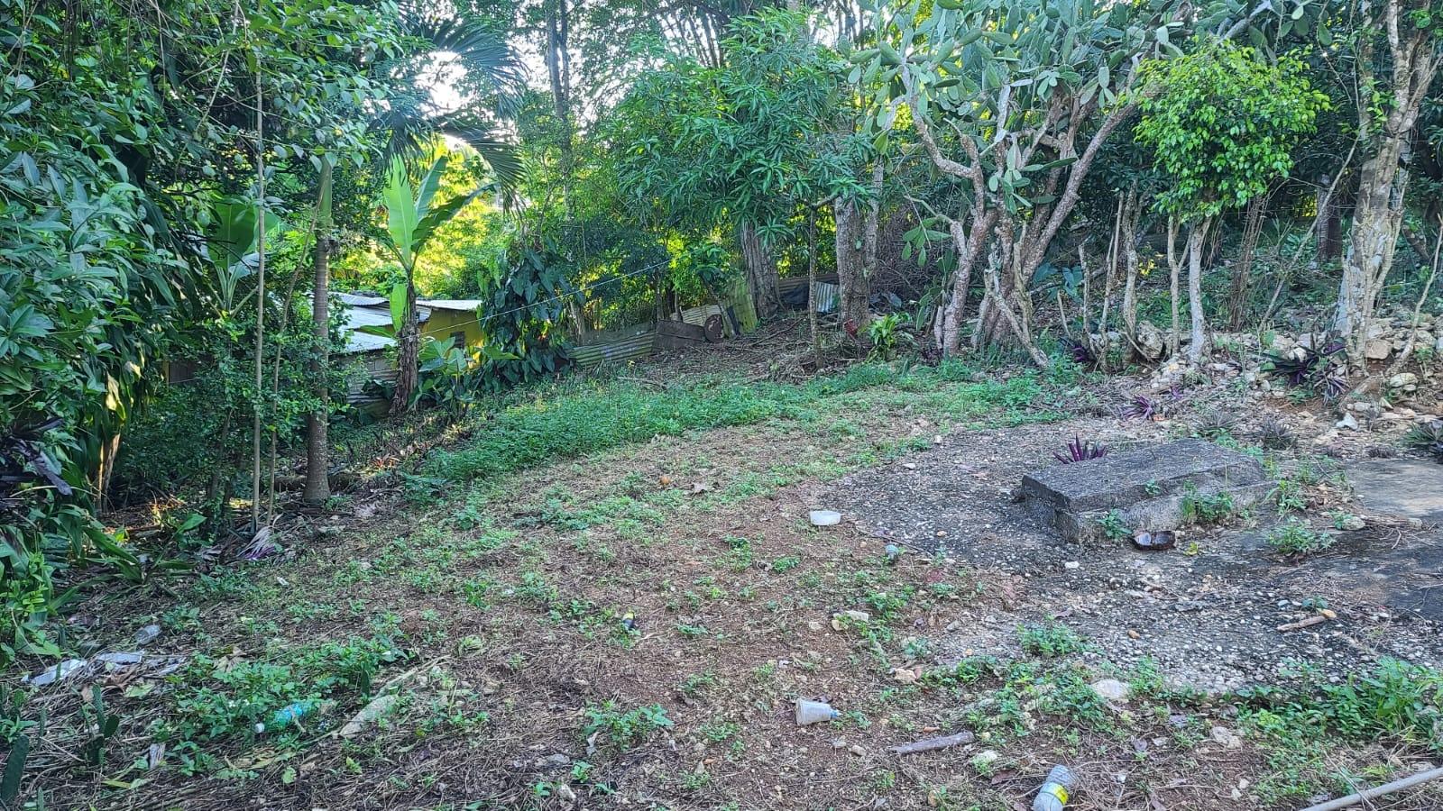 Seventh image of Land- Part of Victoria, Linstea in Linstead, St. Catherine, Jamaica - property is For Sale