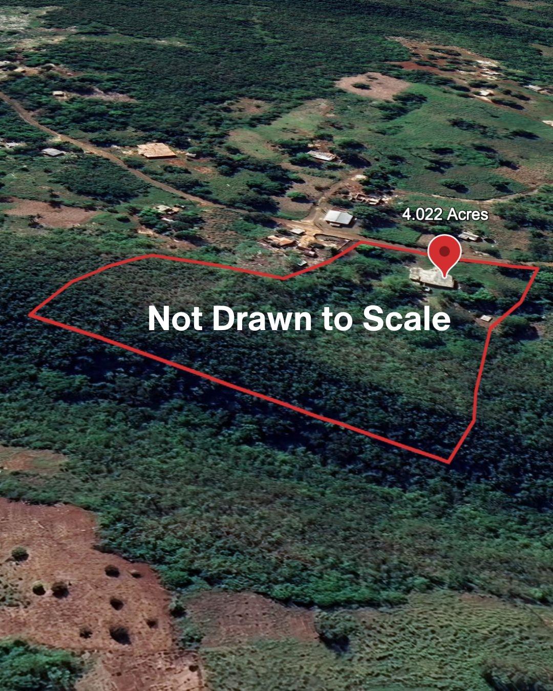 Twenty-Ninth image of Tatchwalk, Plowden, Manc in Plowden Hill, Manchester, Jamaica - property is For Sale