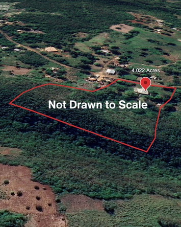 Twenty-Ninth image of Tatchwalk, Plowden, Manc in Plowden Hill, Manchester, Jamaica - property is For Sale