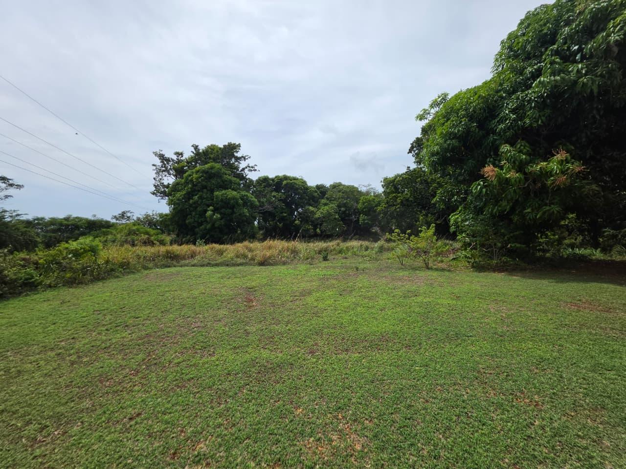 Eighth image of Tatchwalk, Plowden, Manc in Plowden Hill, Manchester, Jamaica - property is For Sale