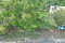 First image of Lot-20 Kinrara (highgate to Wind in Highgate, St. Mary, Jamaica - property is For Sale