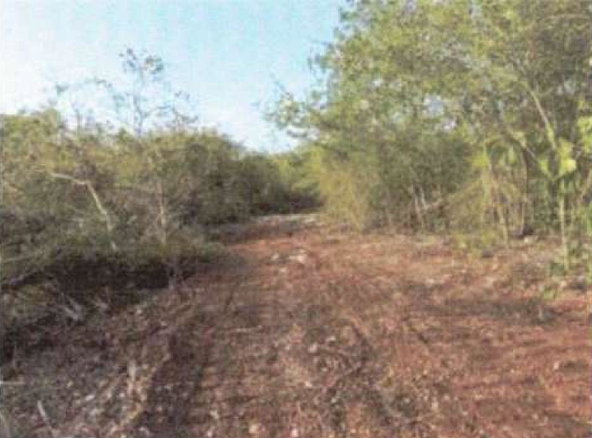 Fourth image of Coates Pen, Clarendon in May Pen, Clarendon, Jamaica - property is For Sale
