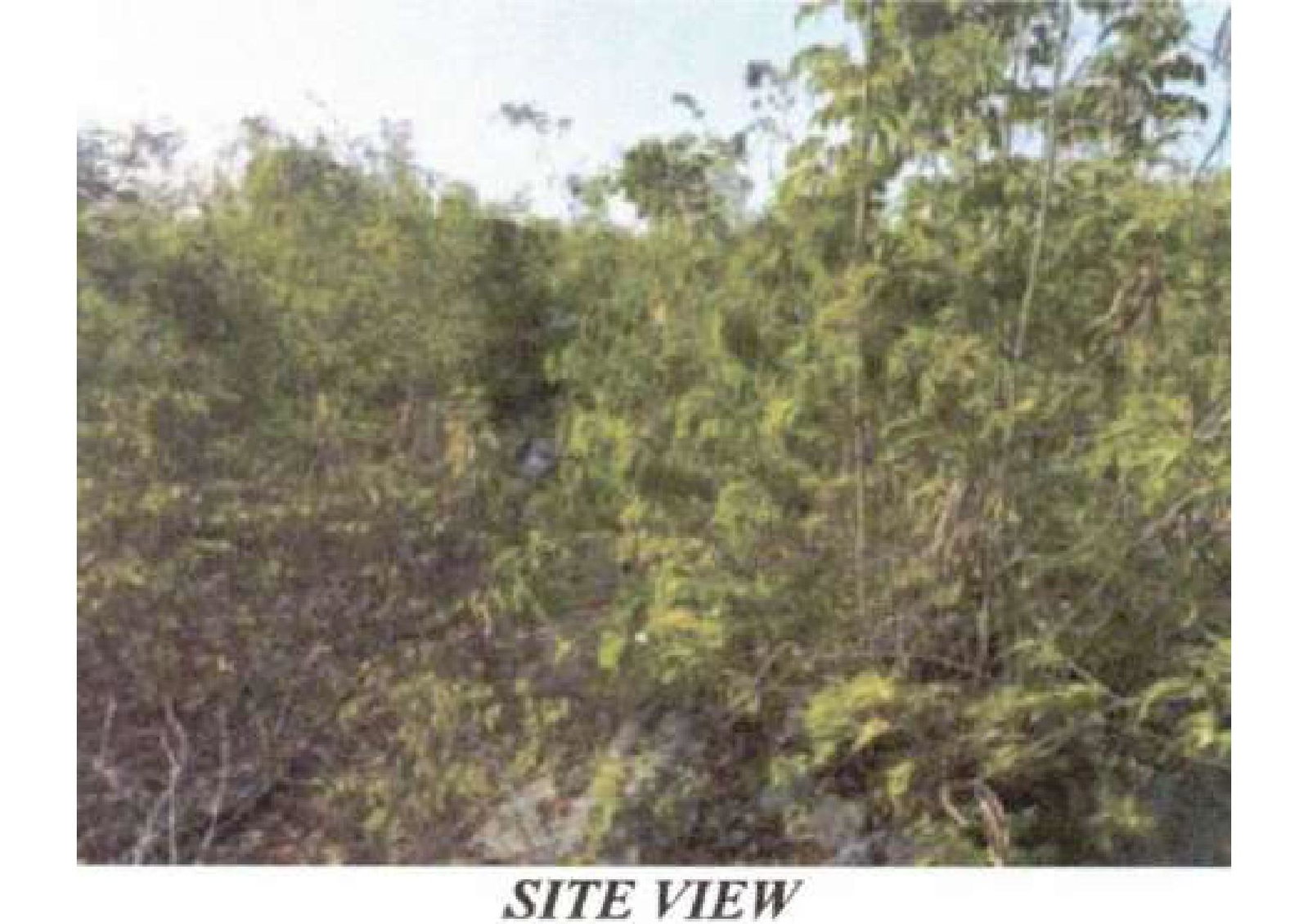 Fifth image of Coates Pen, Clarendon in May Pen, Clarendon, Jamaica - property is For Sale