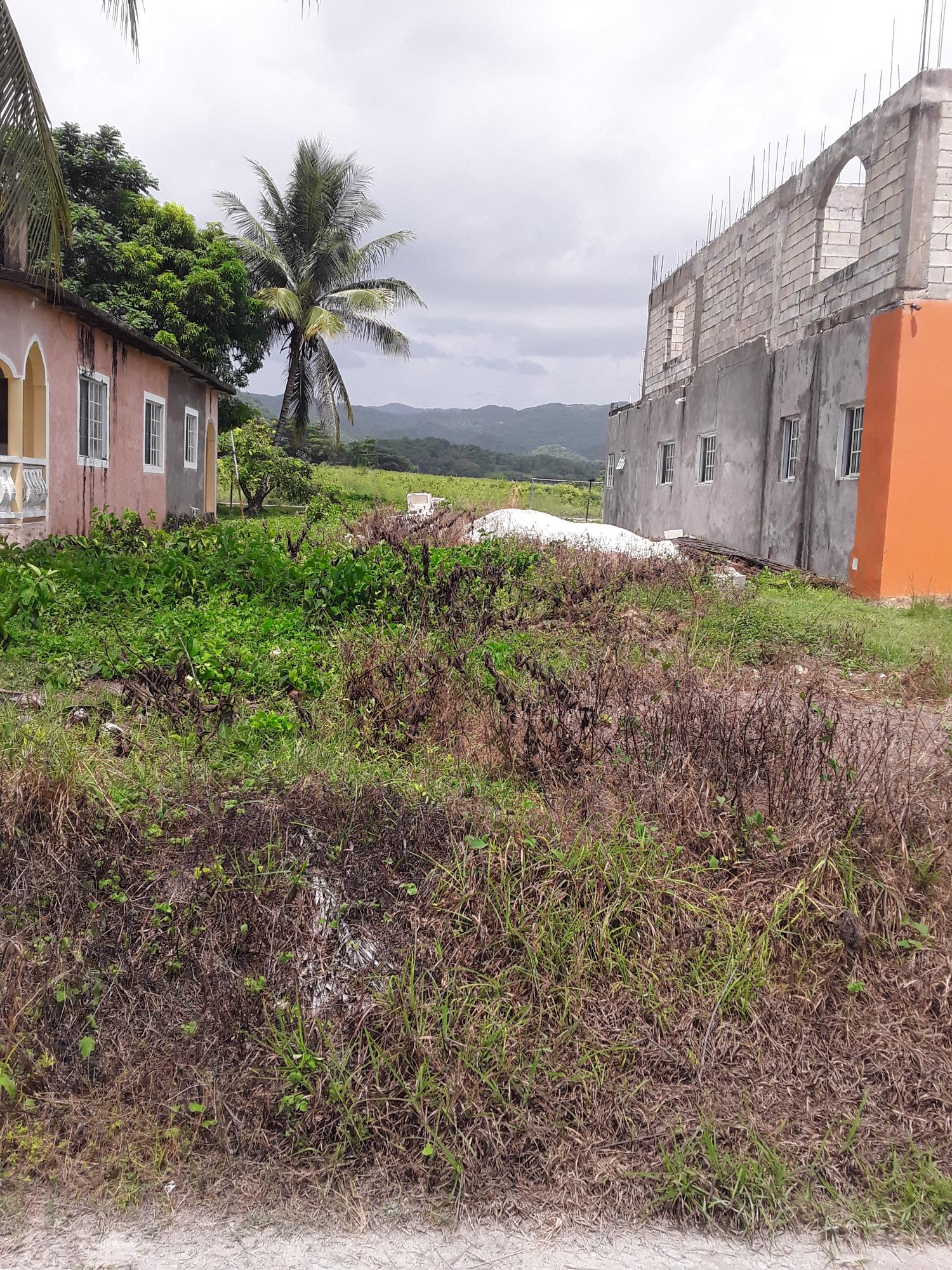 First image of 638- Shrewsbury,westmoreland in Petersfield, Westmoreland, Jamaica - property is For Sale