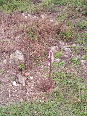 Fifth image of 638- Shrewsbury,westmoreland in Petersfield, Westmoreland, Jamaica - property is For Sale