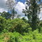 First image of 78 Hermitage in Bethel Town, Westmoreland, Jamaica - property is For Sale