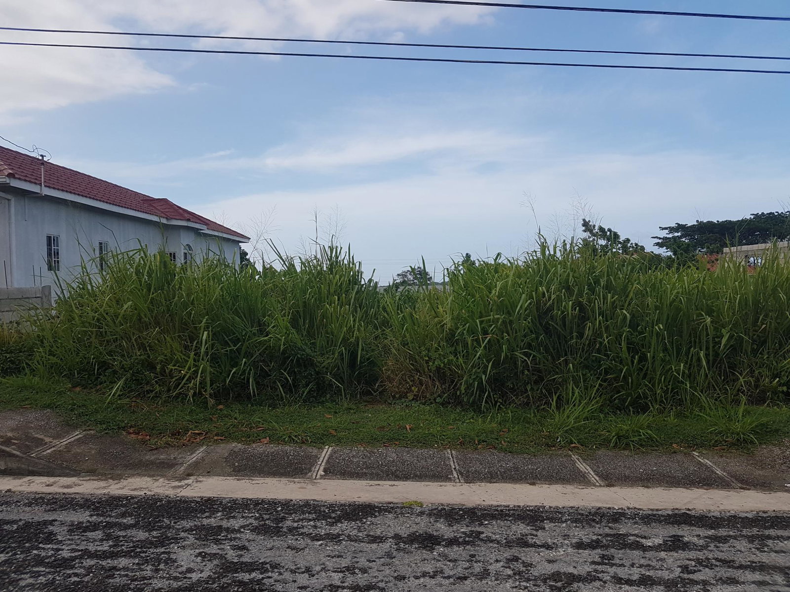 First image of Lot-991 White Hall in Whitehall, Westmoreland, Jamaica - property is For Sale
