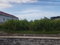 First image of Lot-991 White Hall in Whitehall, Westmoreland, Jamaica - property is For Sale