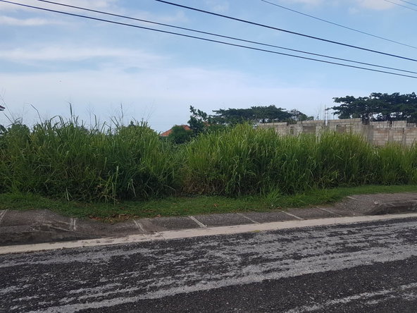 Third image of Lot-991 White Hall in Whitehall, Westmoreland, Jamaica - property is For Sale
