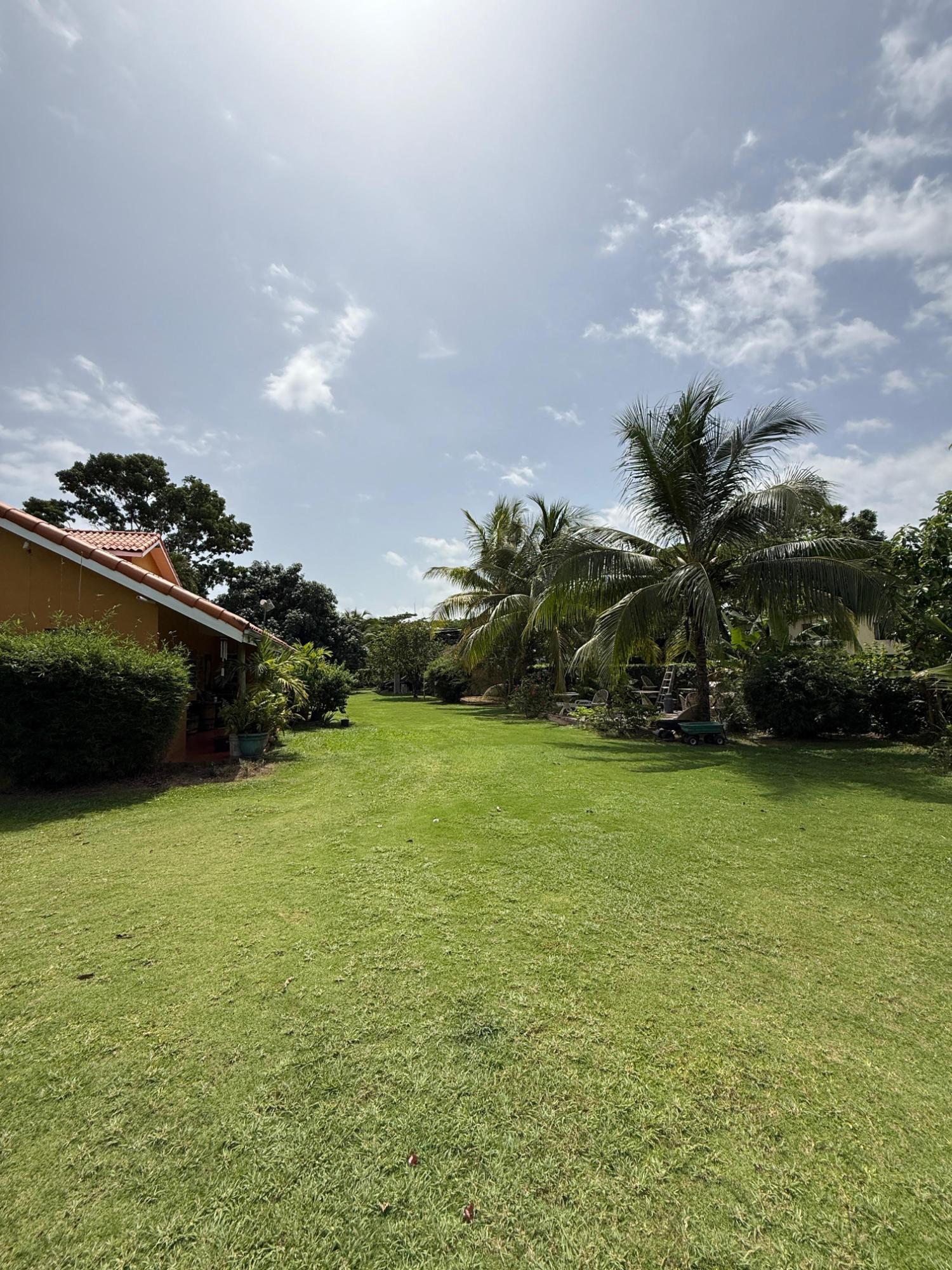 Twenty-First image of 0-18 New Hope in Little London, Westmoreland, Jamaica - property is For Sale