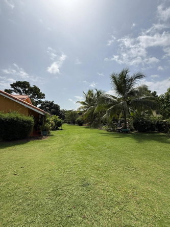 Twenty-First image of 0-18 New Hope in Little London, Westmoreland, Jamaica - property is For Sale
