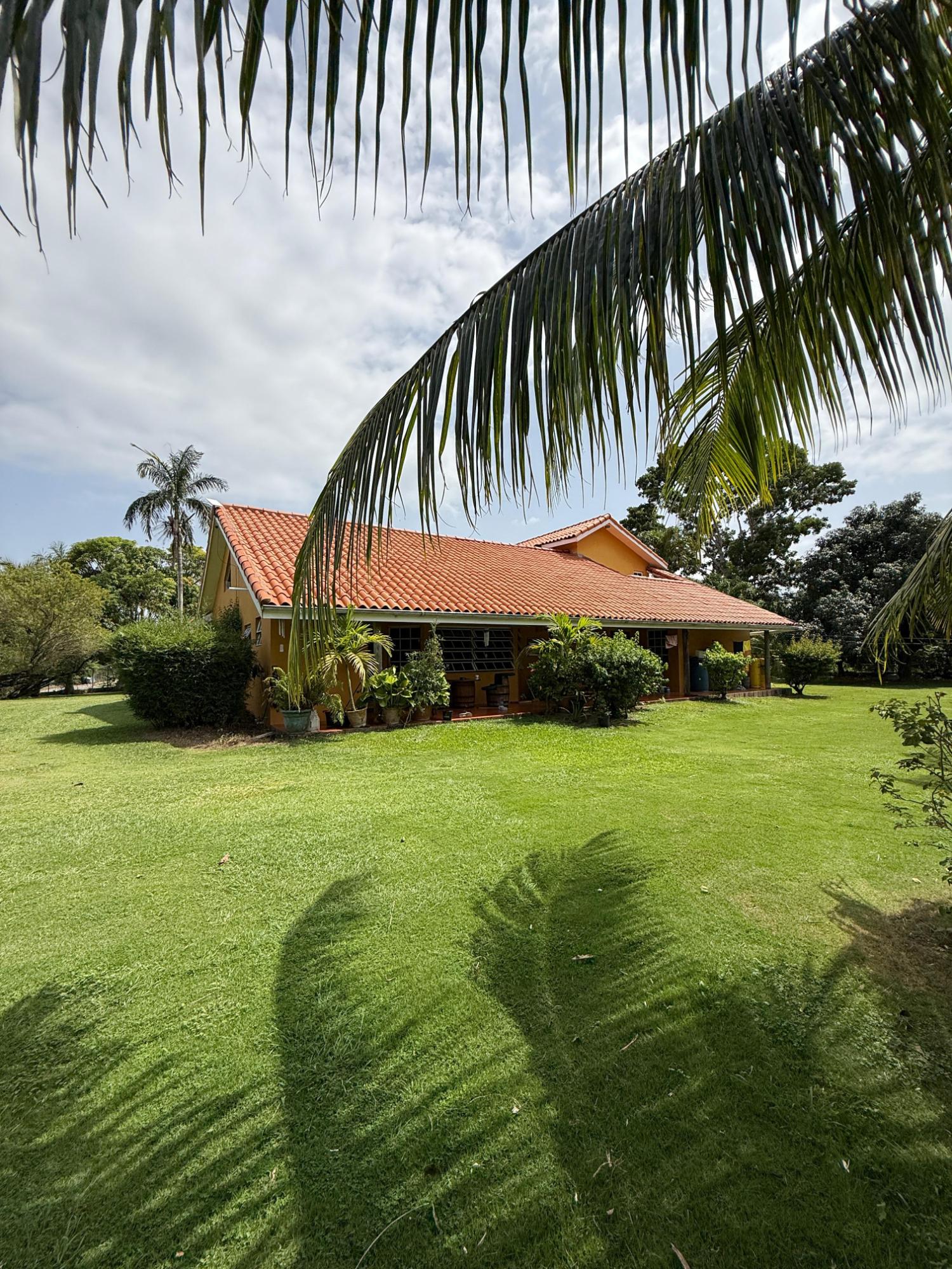 Twenty-Second image of 0-18 New Hope in Little London, Westmoreland, Jamaica - property is For Sale