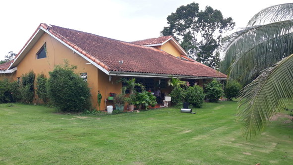Third image of 0-18 New Hope in Little London, Westmoreland, Jamaica - property is For Sale
