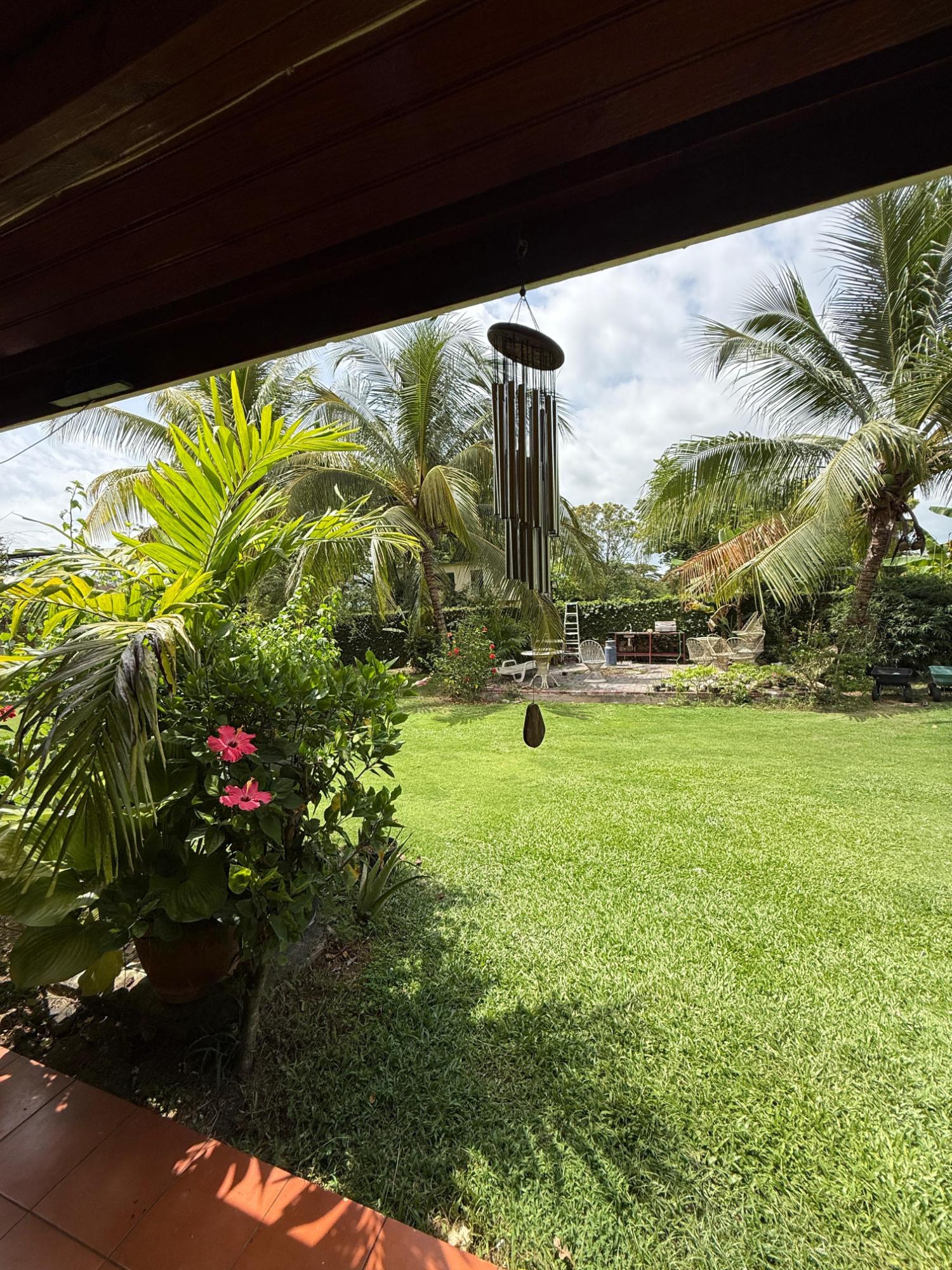Eighth image of 0-18 New Hope in Little London, Westmoreland, Jamaica - property is For Sale
