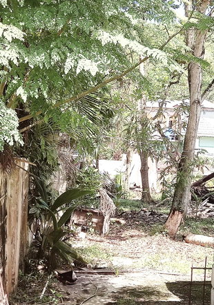 Thirteenth image of 61 Truro Housing Scheme in Truro Gate, Westmoreland, Jamaica - property is For Sale