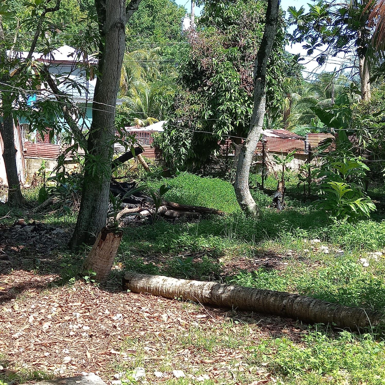 Fourteenth image of 61 Truro Housing Scheme in Truro Gate, Westmoreland, Jamaica - property is For Sale