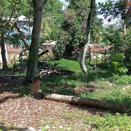 Fourteenth image of 61 Truro Housing Scheme in Truro Gate, Westmoreland, Jamaica - property is For Sale