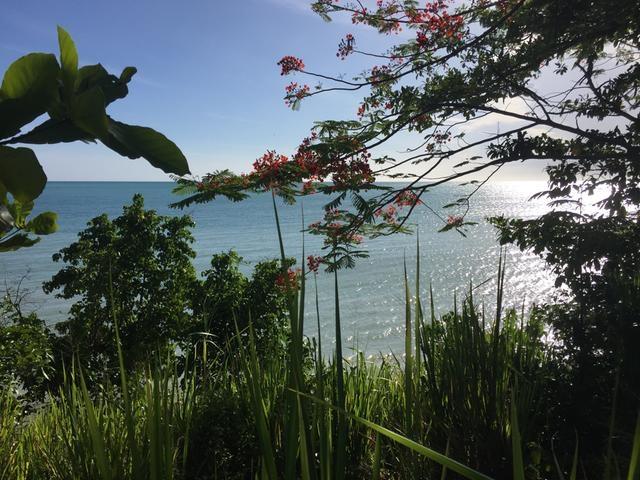 Fourth image of Bluefields South Coast hi in Bluefields, Westmoreland, Jamaica - property is For Sale