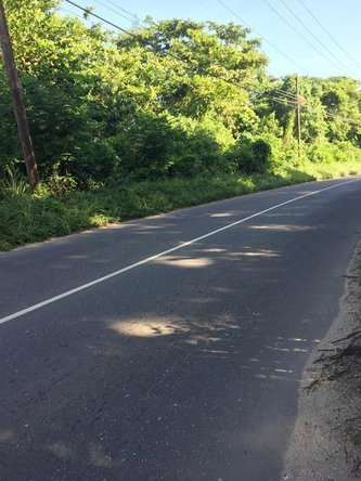 Sixth image of Bluefields South Coast hi in Bluefields, Westmoreland, Jamaica - property is For Sale