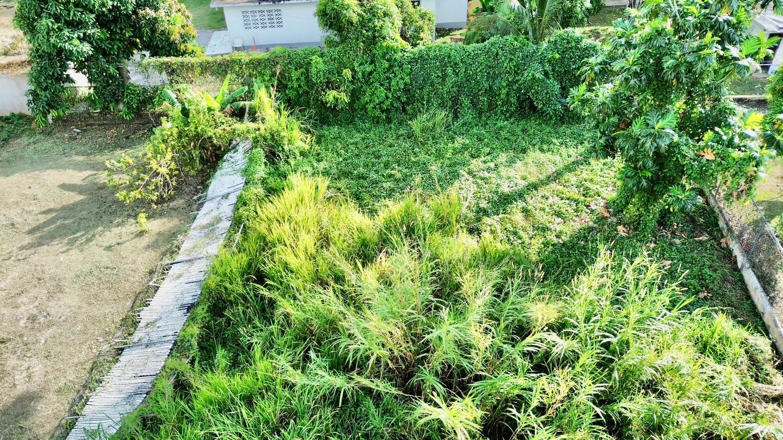 Third image of 39 Lofters House Avenue in Savanna-La-Mar, Westmoreland, Jamaica - property is For Sale