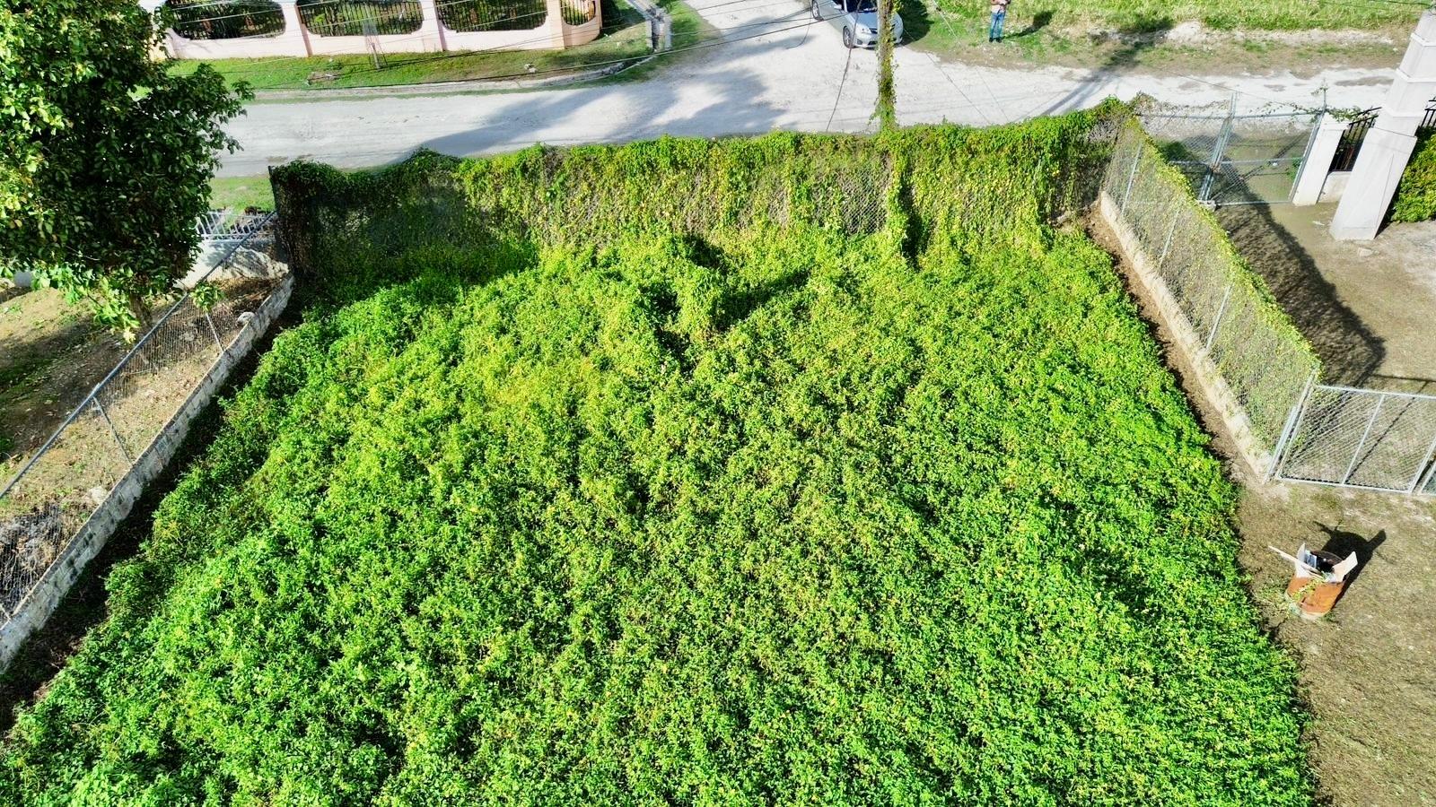 Fourth image of 39 Lofters House Avenue in Savanna-La-Mar, Westmoreland, Jamaica - property is For Sale