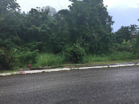 First image of Lot106- Spice Ave in Negril, Westmoreland, Jamaica - property is For Sale