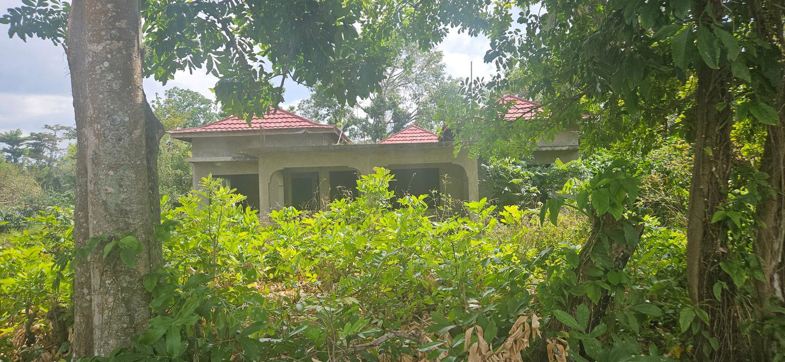 Thirteenth image of Shrewsbury in Petersfield, Westmoreland, Jamaica - property is For Sale