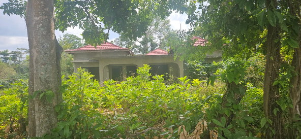 Thirteenth image of Shrewsbury in Petersfield, Westmoreland, Jamaica - property is For Sale
