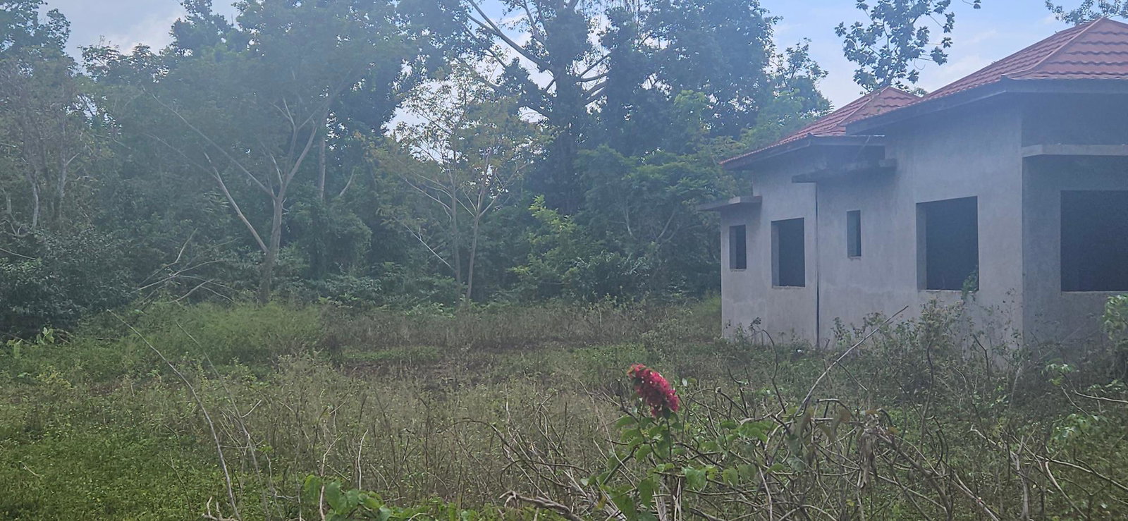Third image of Shrewsbury in Petersfield, Westmoreland, Jamaica - property is For Sale