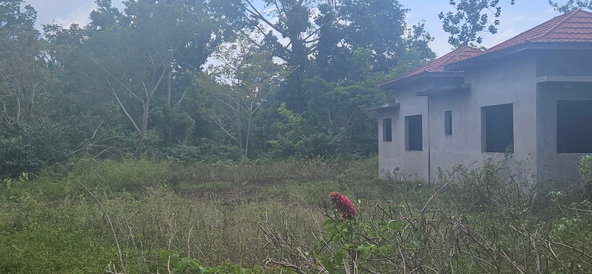 Third image of Shrewsbury in Petersfield, Westmoreland, Jamaica - property is For Sale