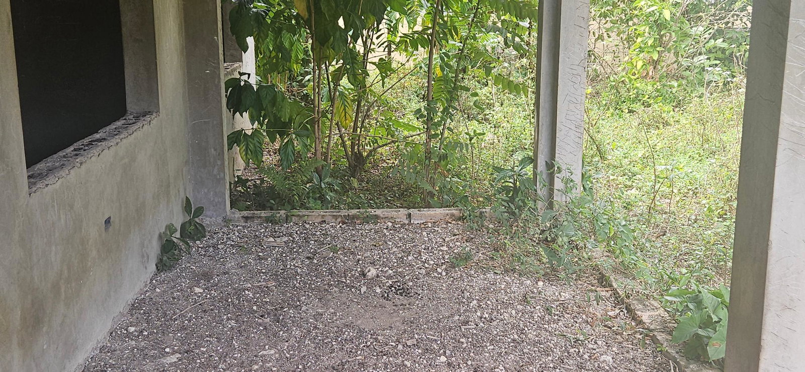 Fourth image of Shrewsbury in Petersfield, Westmoreland, Jamaica - property is For Sale