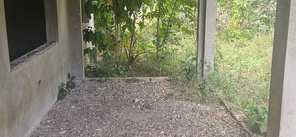 Fourth image of Shrewsbury in Petersfield, Westmoreland, Jamaica - property is For Sale