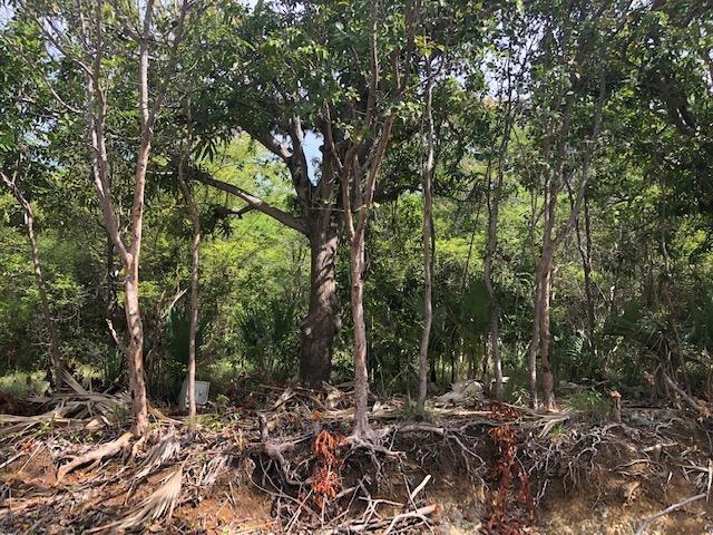 Third image of Lot #136 Hillside Villas in Culloden, Westmoreland, Jamaica - property is For Sale
