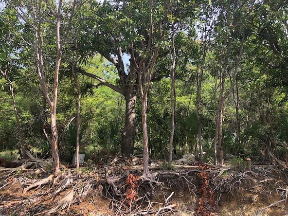 Third image of Lot #136 Hillside Villas in Culloden, Westmoreland, Jamaica - property is For Sale