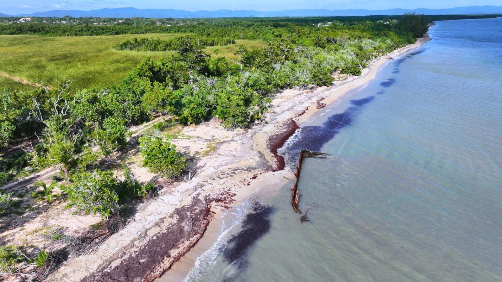 First image of Old Hope | Little London in Old Hope, Westmoreland, Jamaica - property is For Sale
