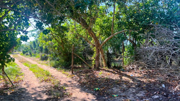 Fifth image of Old Hope | Little London in Old Hope, Westmoreland, Jamaica - property is For Sale