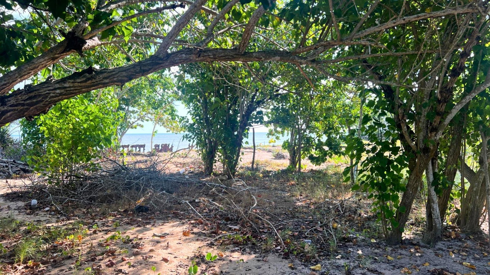 Sixth image of Old Hope | Little London in Old Hope, Westmoreland, Jamaica - property is For Sale