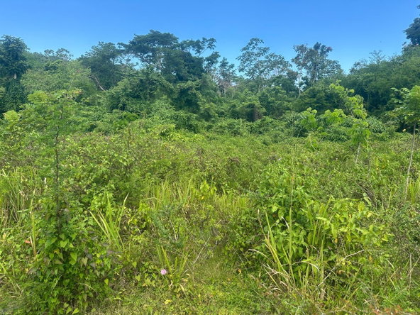 Tenth image of 59 Negril Estate in Negril, Westmoreland, Jamaica - property is For Sale