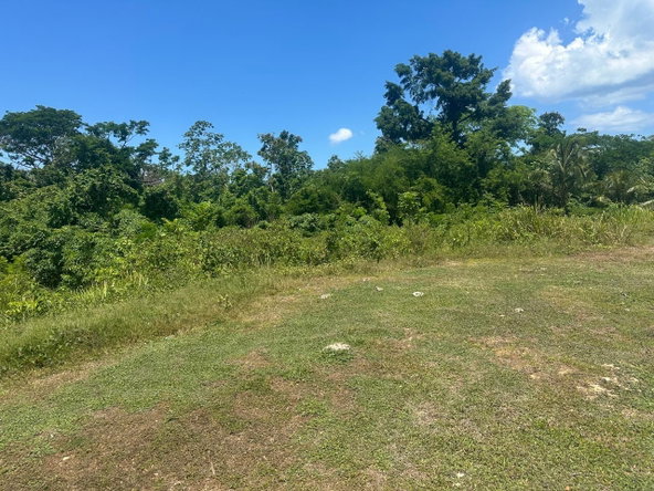 Eighth image of 59 Negril Estate in Negril, Westmoreland, Jamaica - property is For Sale