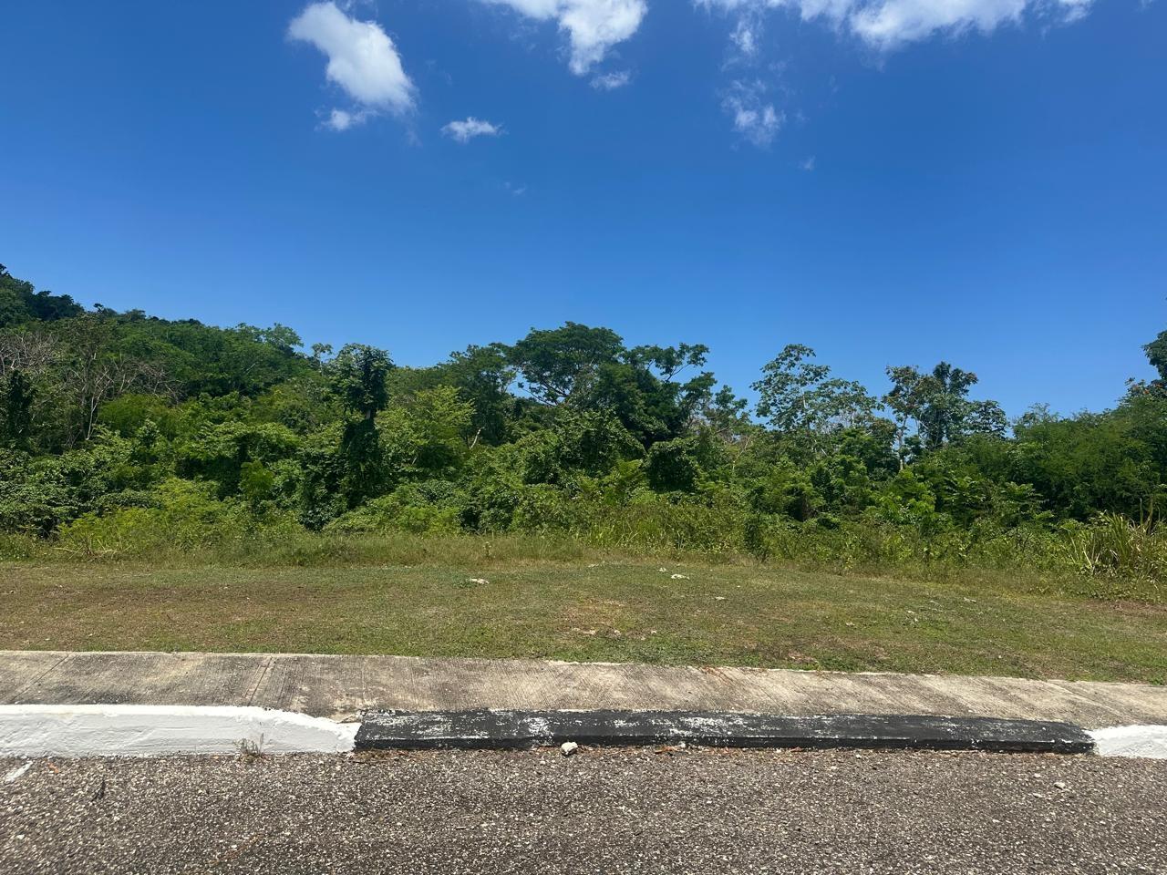 Ninth image of 59 Negril Estate in Negril, Westmoreland, Jamaica - property is For Sale