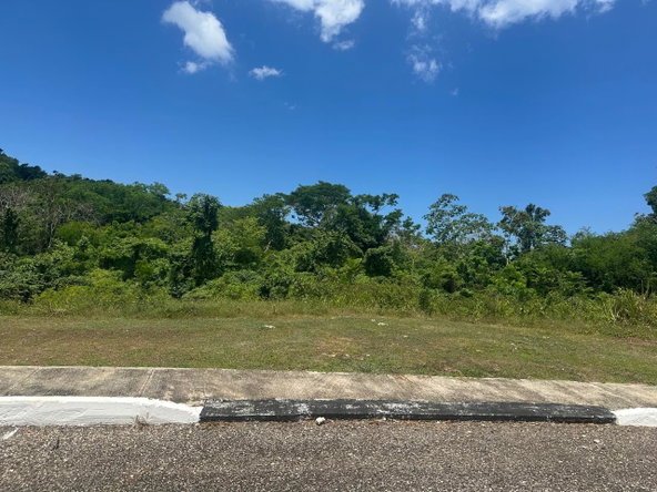 Ninth image of 59 Negril Estate in Negril, Westmoreland, Jamaica - property is For Sale