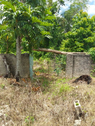 Fifth image of Lincoln Grange Hill in Grange Hill, Westmoreland, Jamaica - property is For Sale
