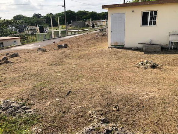 First image of Whitehall in Whitehall, Westmoreland, Jamaica - property is For Sale