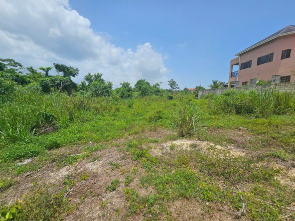 Eleventh image of 25 Negril Estate , Westmo in Whitehall, Westmoreland, Jamaica - property is For Sale