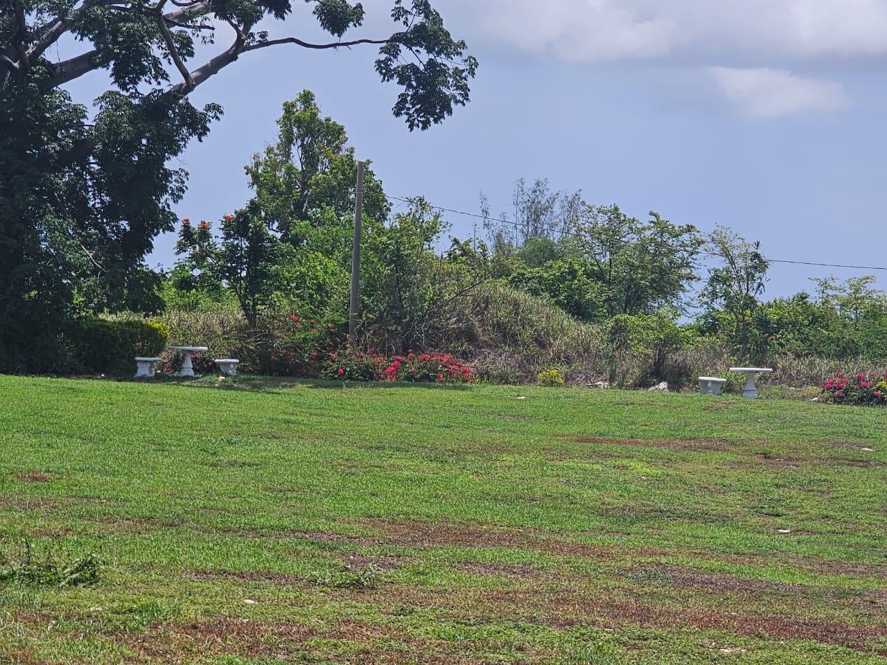 Twelfth image of 25 Negril Estate , Westmo in Whitehall, Westmoreland, Jamaica - property is For Sale